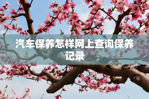 汽车保养怎样网上查询保养记录
