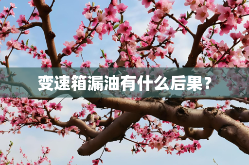 变速箱漏油有什么后果？