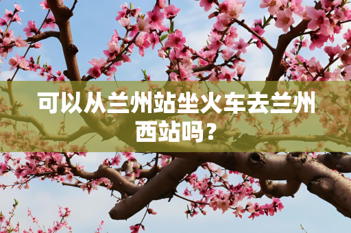 可以从兰州站坐火车去兰州西站吗？
