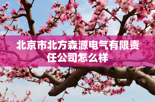 北京市北方森源电气有限责任公司怎么样
