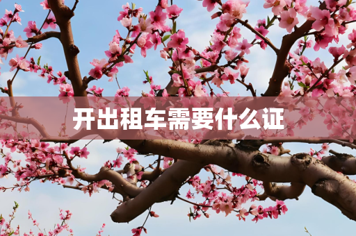 开出租车需要什么证