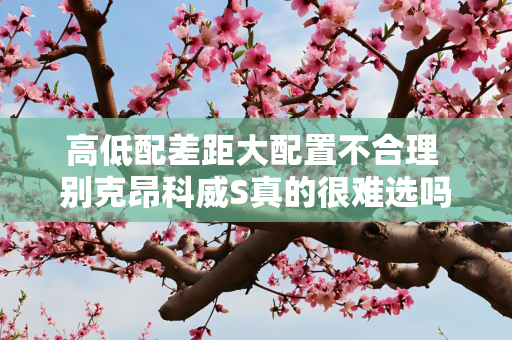 高低配差距大配置不合理 别克昂科威S真的很难选吗？
