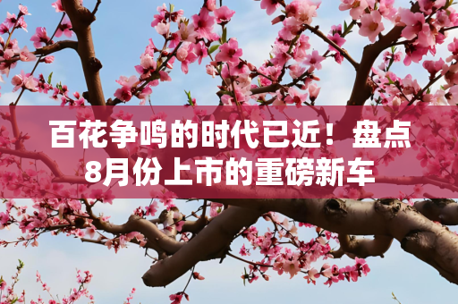 百花争鸣的时代已近！盘点8月份上市的重磅新车