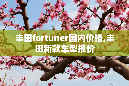 丰田fortuner国内价格,丰田新款车型报价