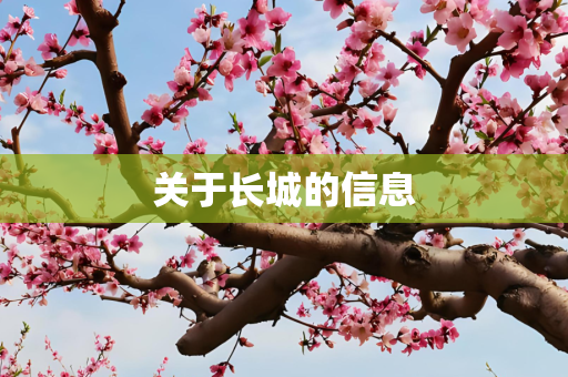 关于长城的信息