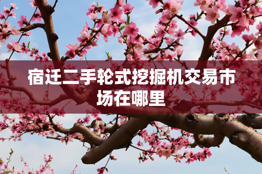 宿迁二手轮式挖掘机交易市场在哪里