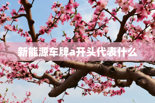 新能源车牌a开头代表什么