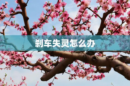 刹车失灵怎么办