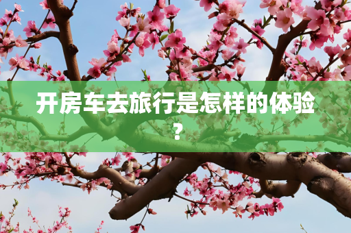 开房车去旅行是怎样的体验？