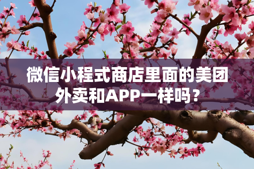 微信小程式商店里面的美团外卖和APP一样吗？