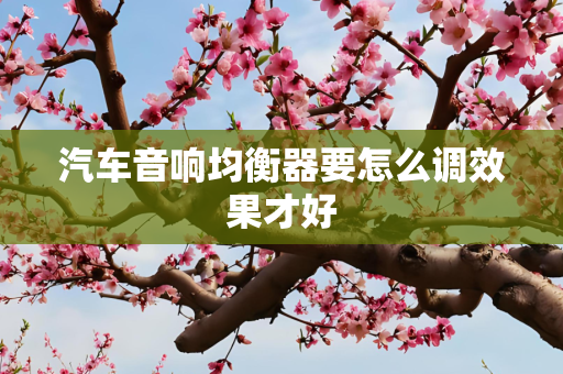 汽车音响均衡器要怎么调效果才好