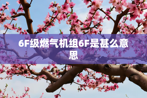 6F级燃气机组6F是甚么意思