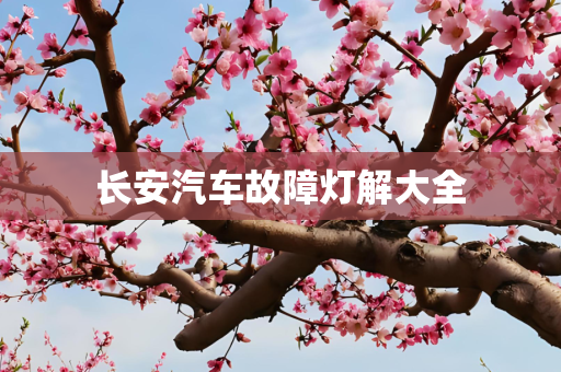 长安汽车故障灯解大全