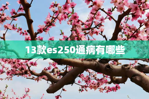13款es250通病有哪些