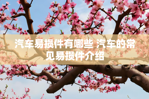 汽车易损件有哪些 汽车的常见易损件介绍