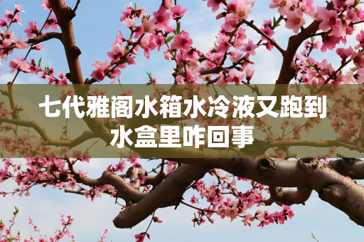 七代雅阁水箱水冷液又跑到水盒里咋回事