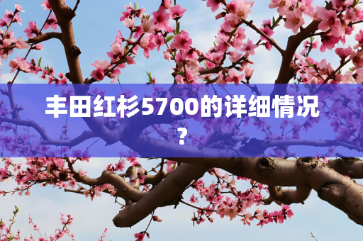 丰田红杉5700的详细情况?