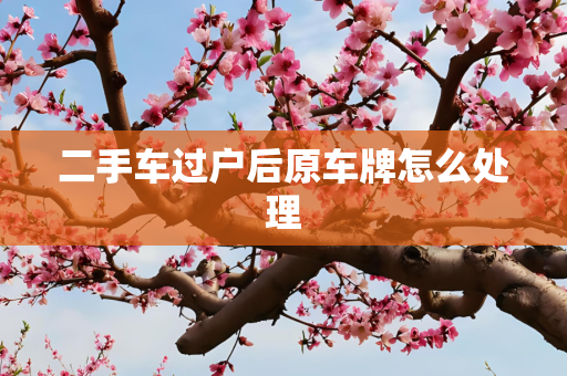 二手车过户后原车牌怎么处理
