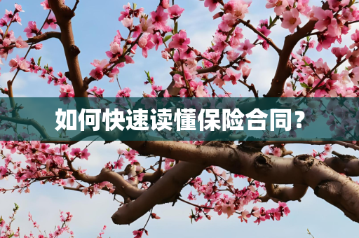 如何快速读懂保险合同？