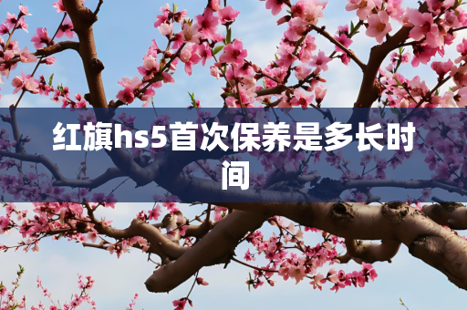 红旗hs5首次保养是多长时间