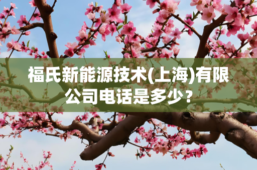 福氏新能源技术(上海)有限公司电话是多少？