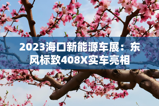 2023海口新能源车展：东风标致408X实车亮相