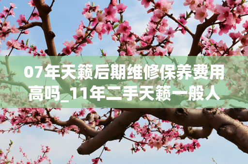 07年天籁后期维修保养费用高吗_11年二手天籁一般人保养的起吗