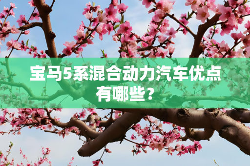 宝马5系混合动力汽车优点有哪些？