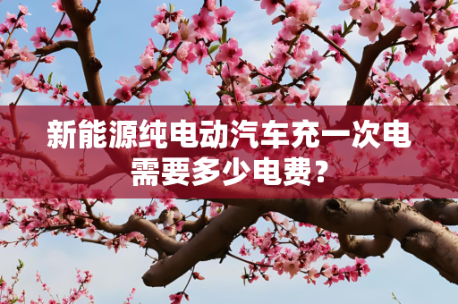 新能源纯电动汽车充一次电需要多少电费？