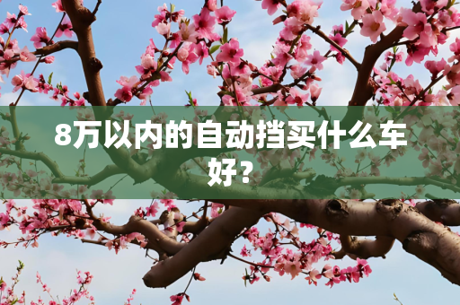 8万以内的自动挡买什么车好？
