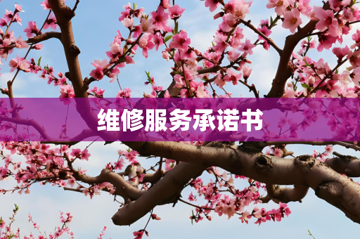 维修服务承诺书