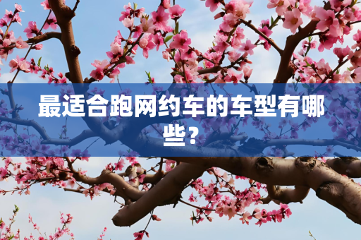 最适合跑网约车的车型有哪些？