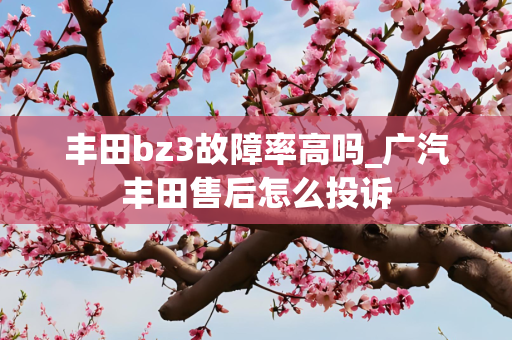 丰田bz3故障率高吗_广汽丰田售后怎么投诉