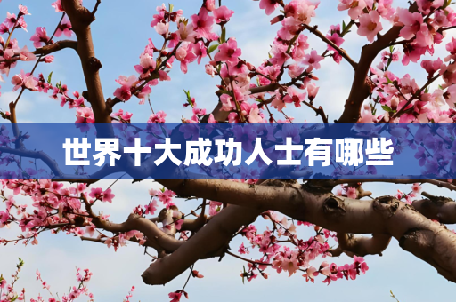 世界十大成功人士有哪些