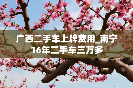广西二手车上牌费用_南宁16年二手车三万多