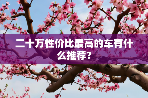 二十万性价比最高的车有什么推荐？