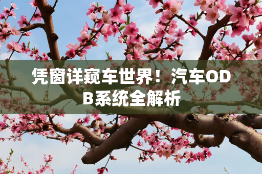 凭窗详窥车世界！汽车ODB系统全解析