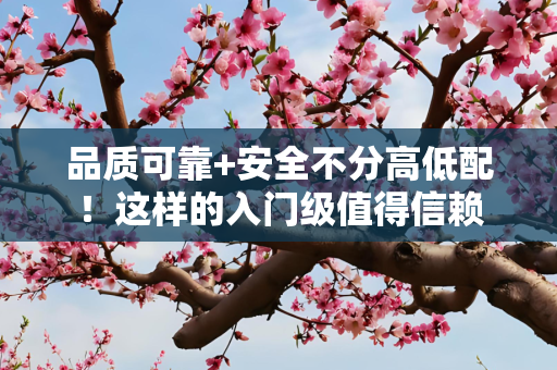 品质可靠+安全不分高低配！这样的入门级值得信赖