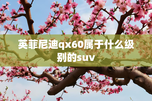 英菲尼迪qx60属于什么级别的suv