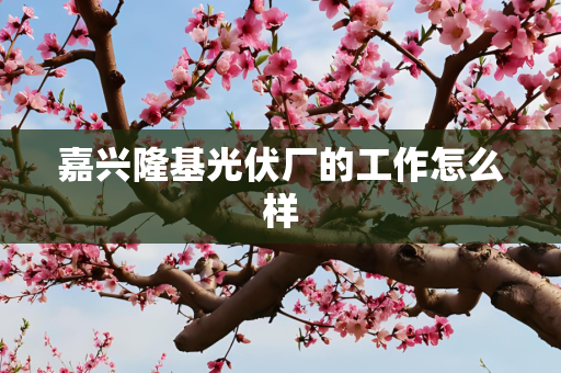 嘉兴隆基光伏厂的工作怎么样