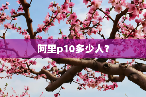 阿里p10多少人？