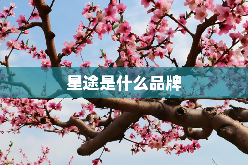 星途是什么品牌