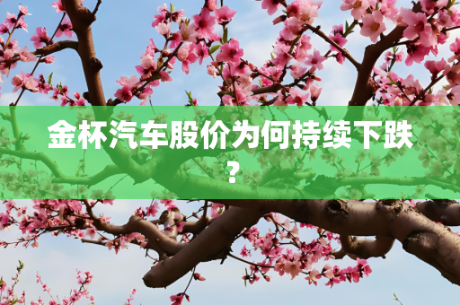 金杯汽车股价为何持续下跌？