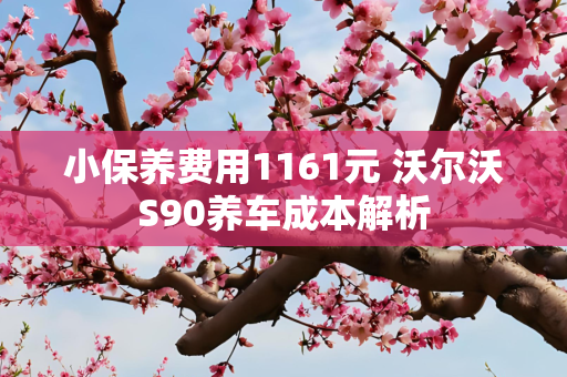 小保养费用1161元 沃尔沃S90养车成本解析