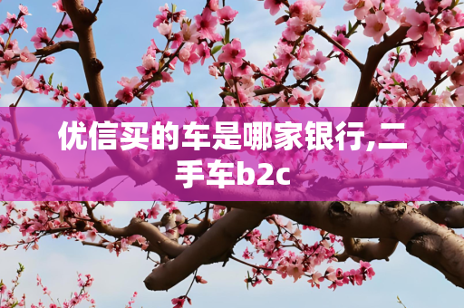 优信买的车是哪家银行,二手车b2c