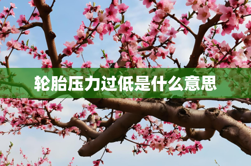 轮胎压力过低是什么意思