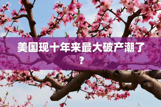 美国现十年来最大破产潮了？