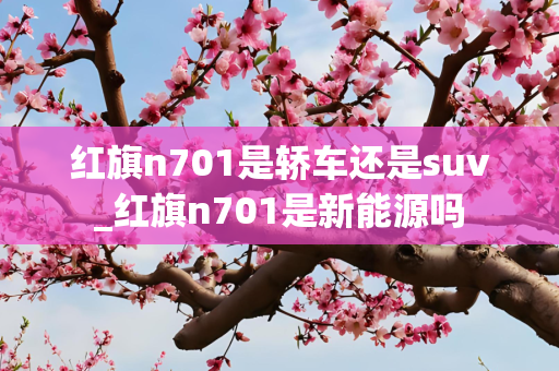 红旗n701是轿车还是suv_红旗n701是新能源吗