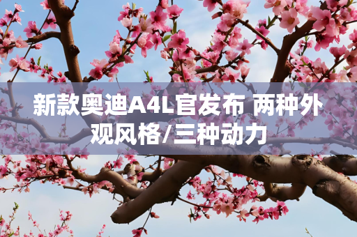 新款奥迪A4L官发布 两种外观风格/三种动力