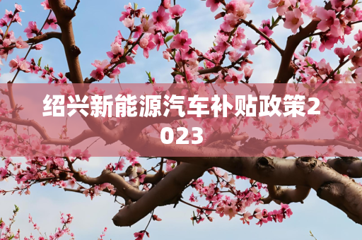 绍兴新能源汽车补贴政策2023